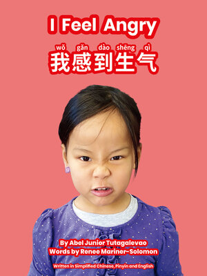 cover image of Wǒ gǎndào shēngqì / I Feel Angry